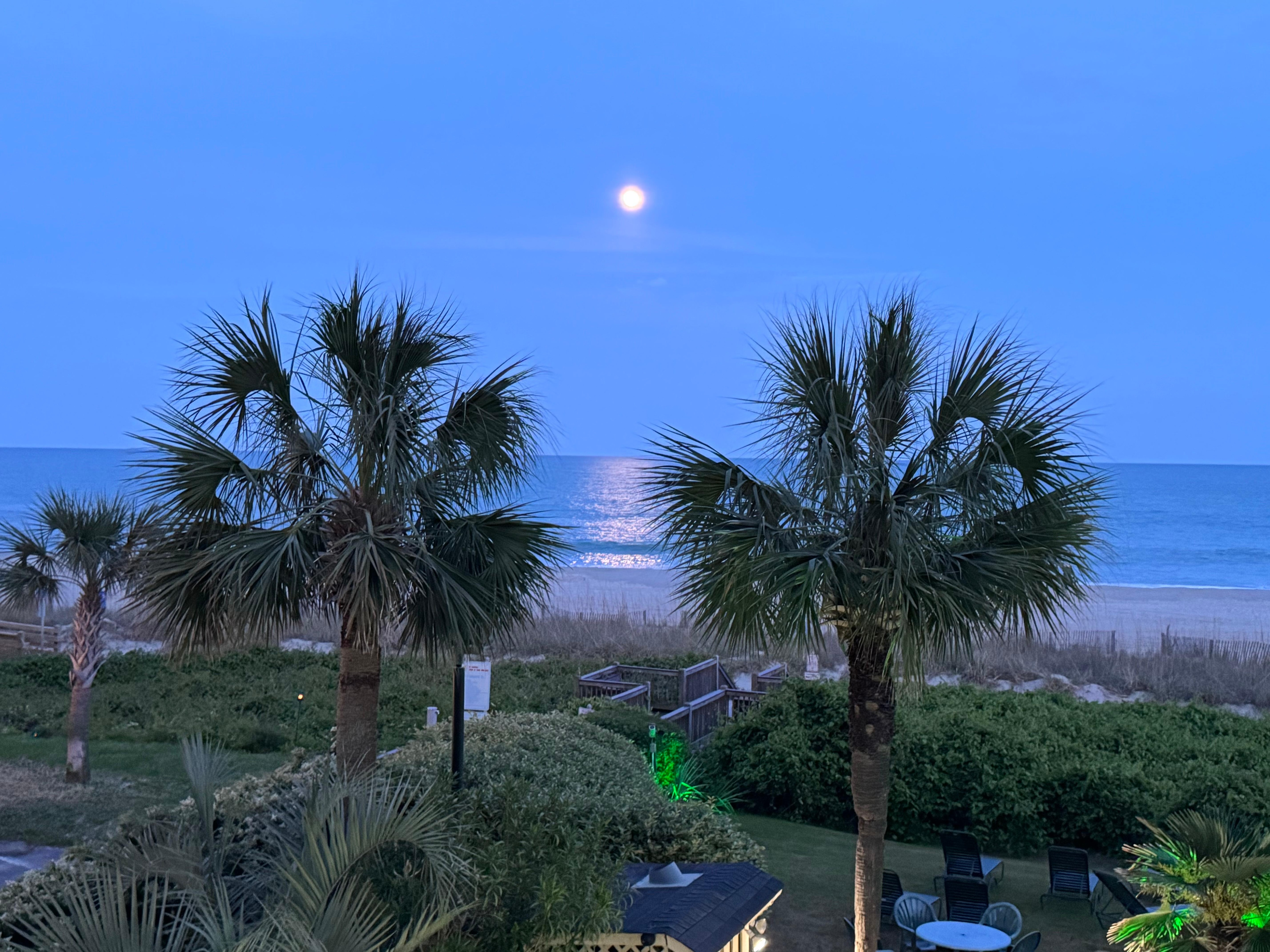 The moon reflects on ocean.