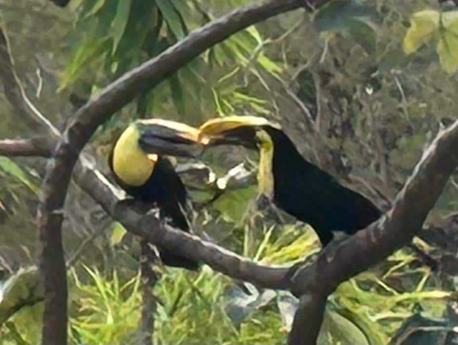 More visitors at dusk.