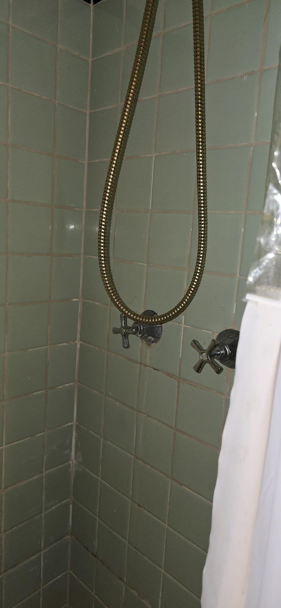 Shower was too dirty