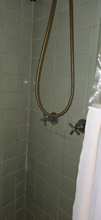 Shower was too dirty