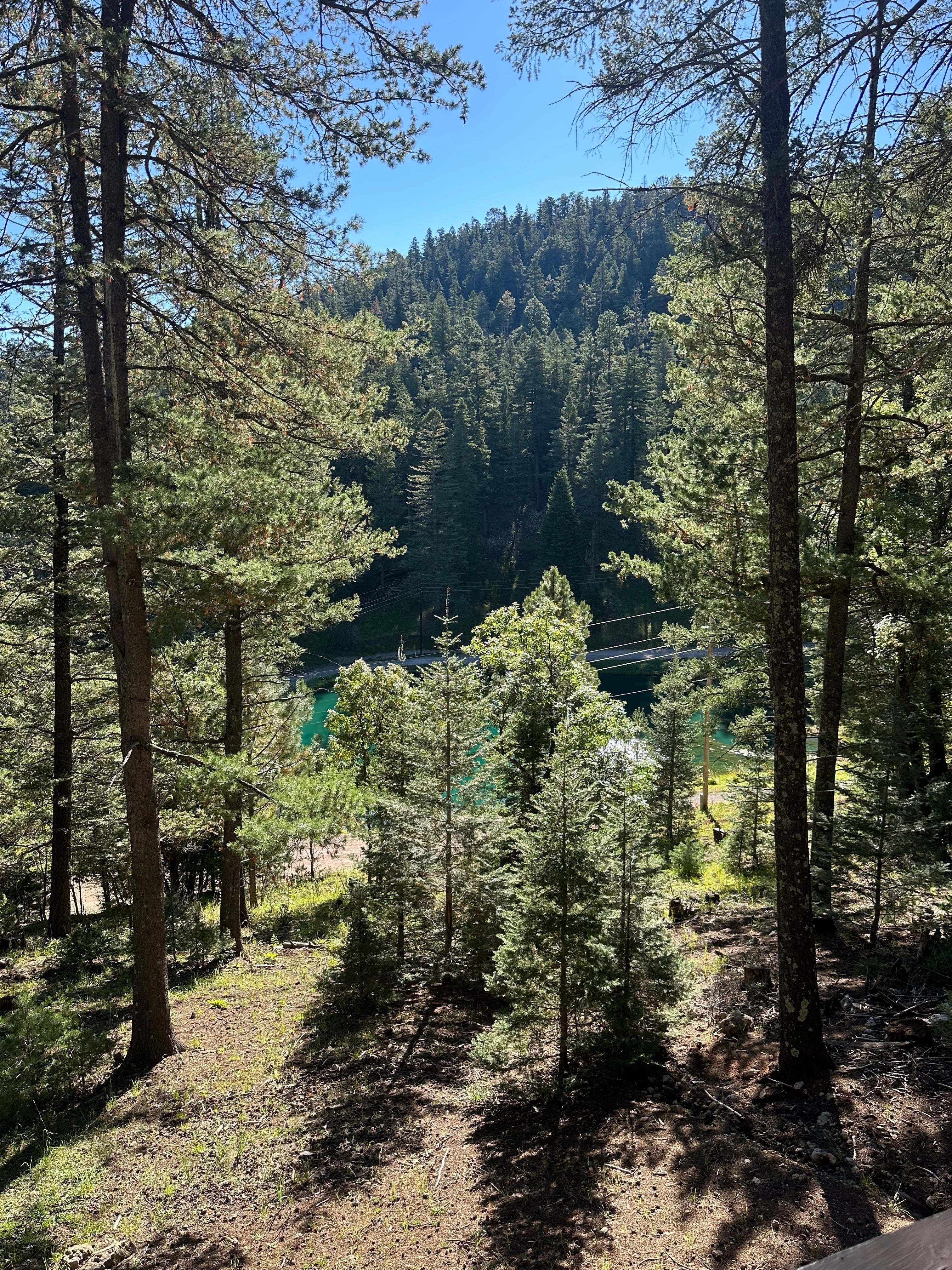 View from the balcony