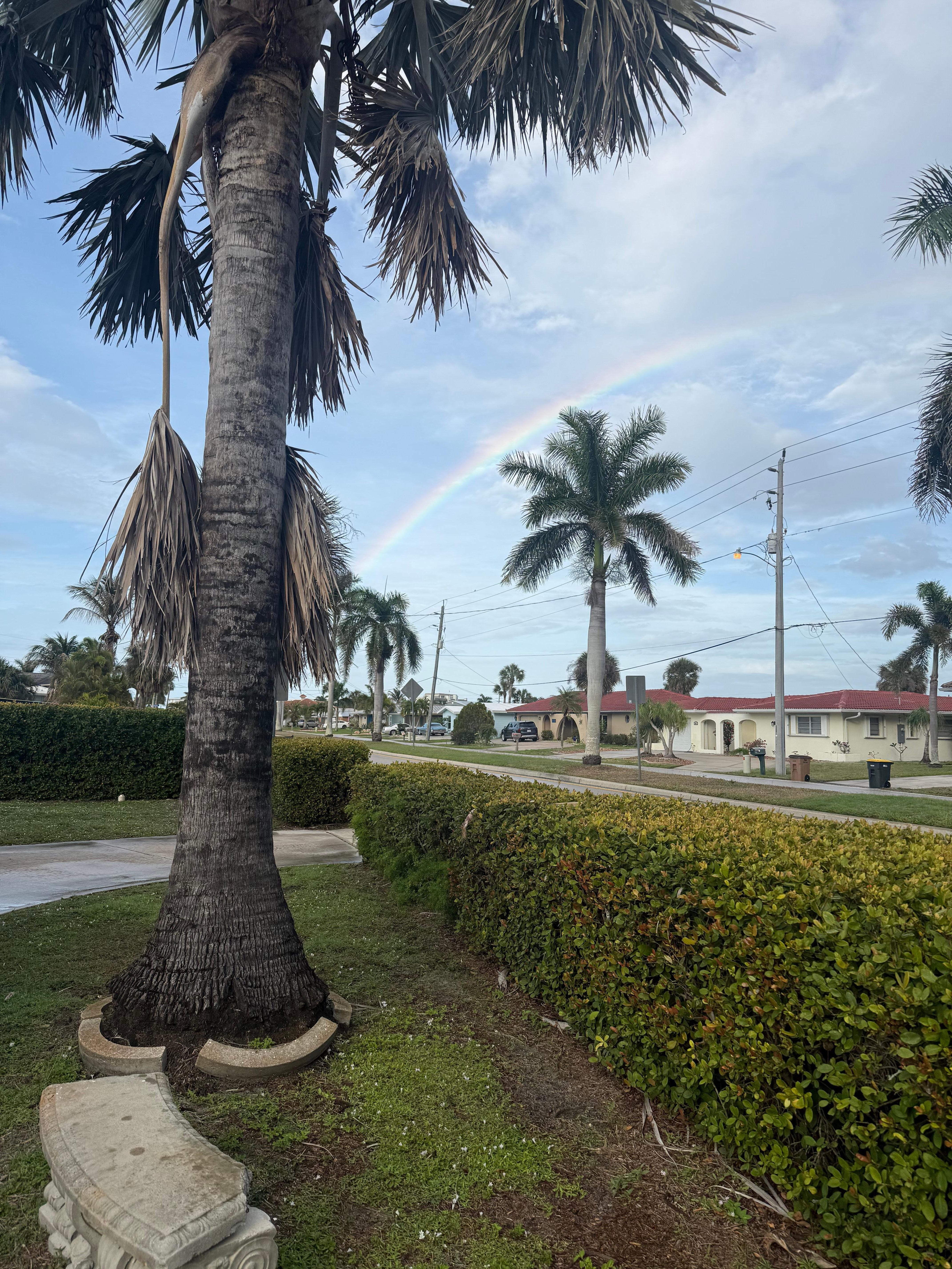 Morning rainbow out front