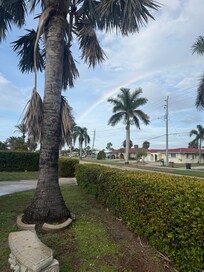 Morning rainbow out front