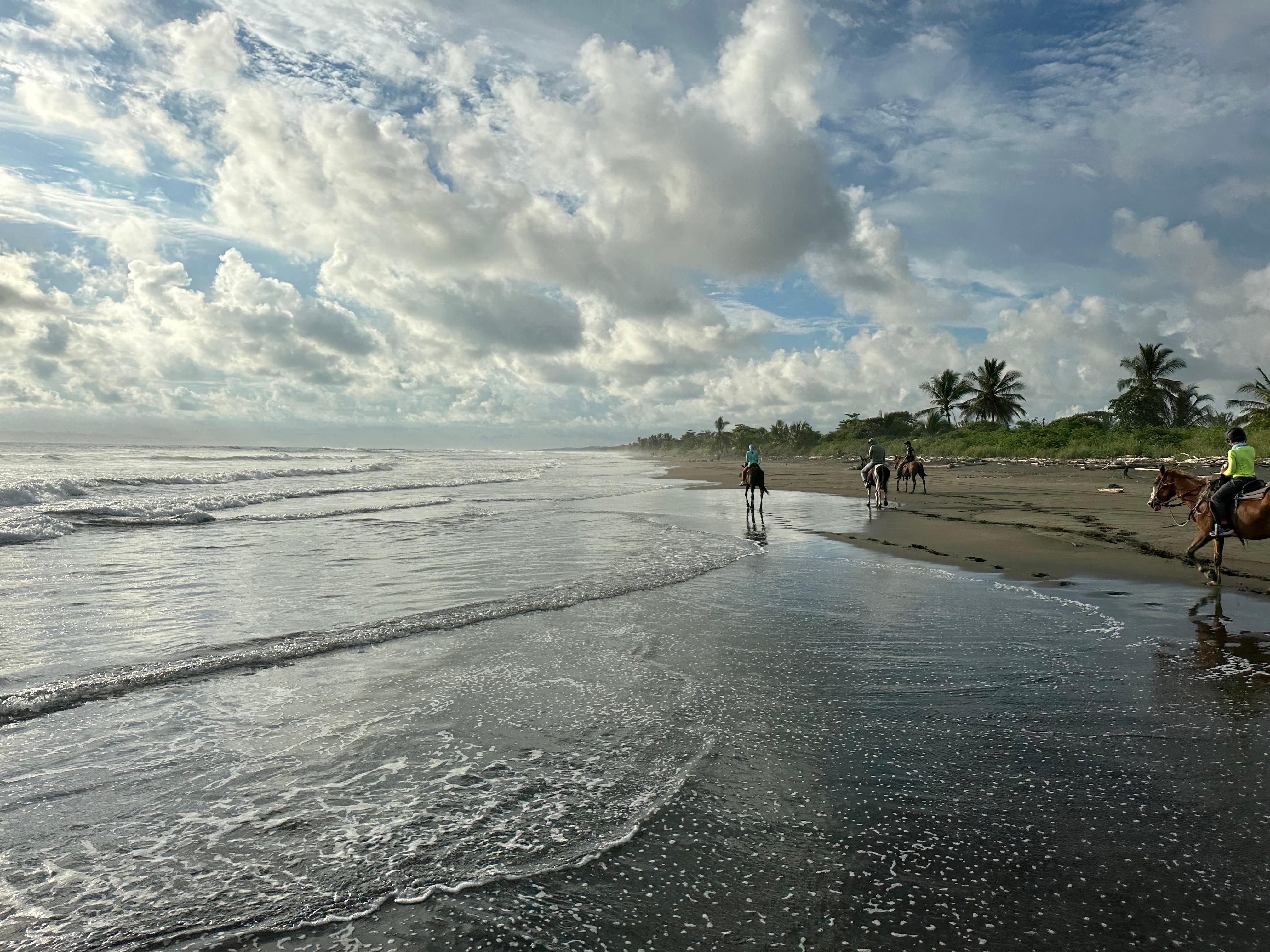 Horse back riding on the beach