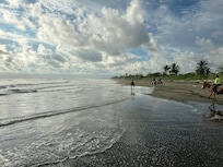 Horse back riding on the beach