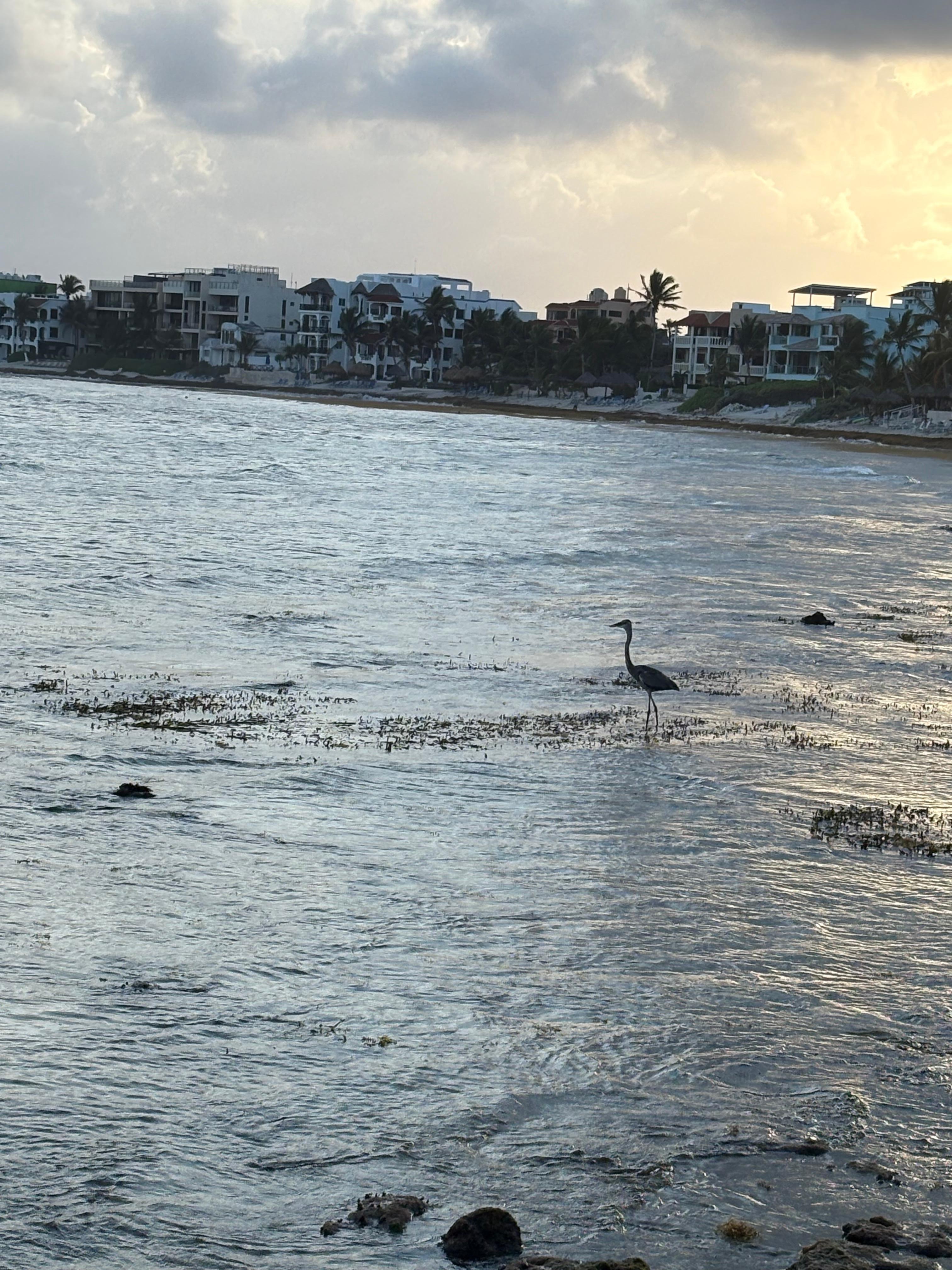 View from lounge chair at La Sirena condo