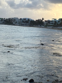 View from lounge chair at La Sirena condo