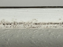 Mold around the air conditioner.