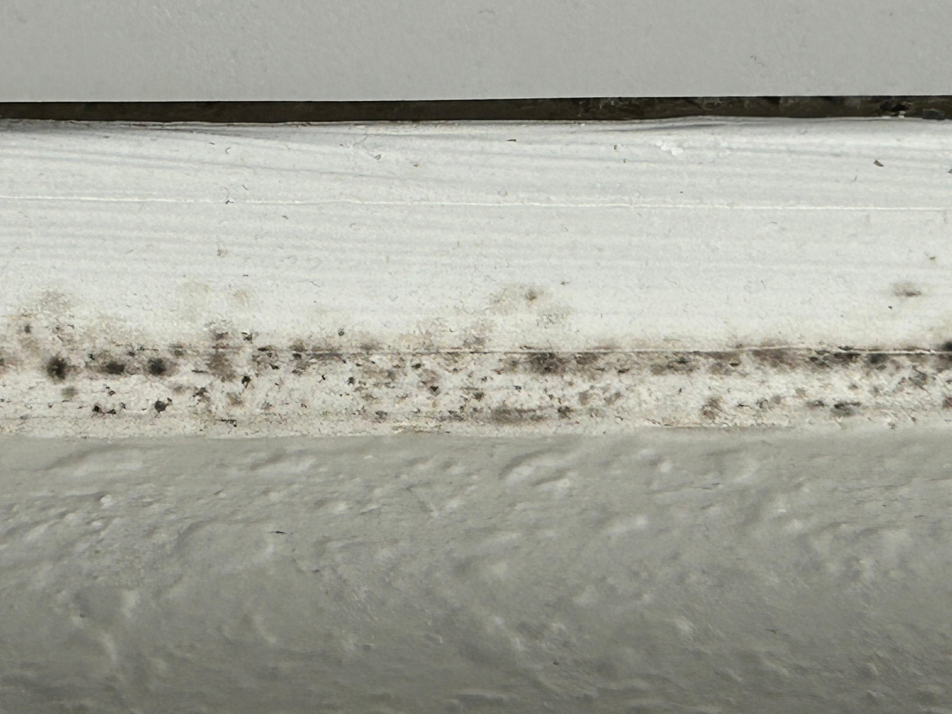 Mold around the air conditioner.