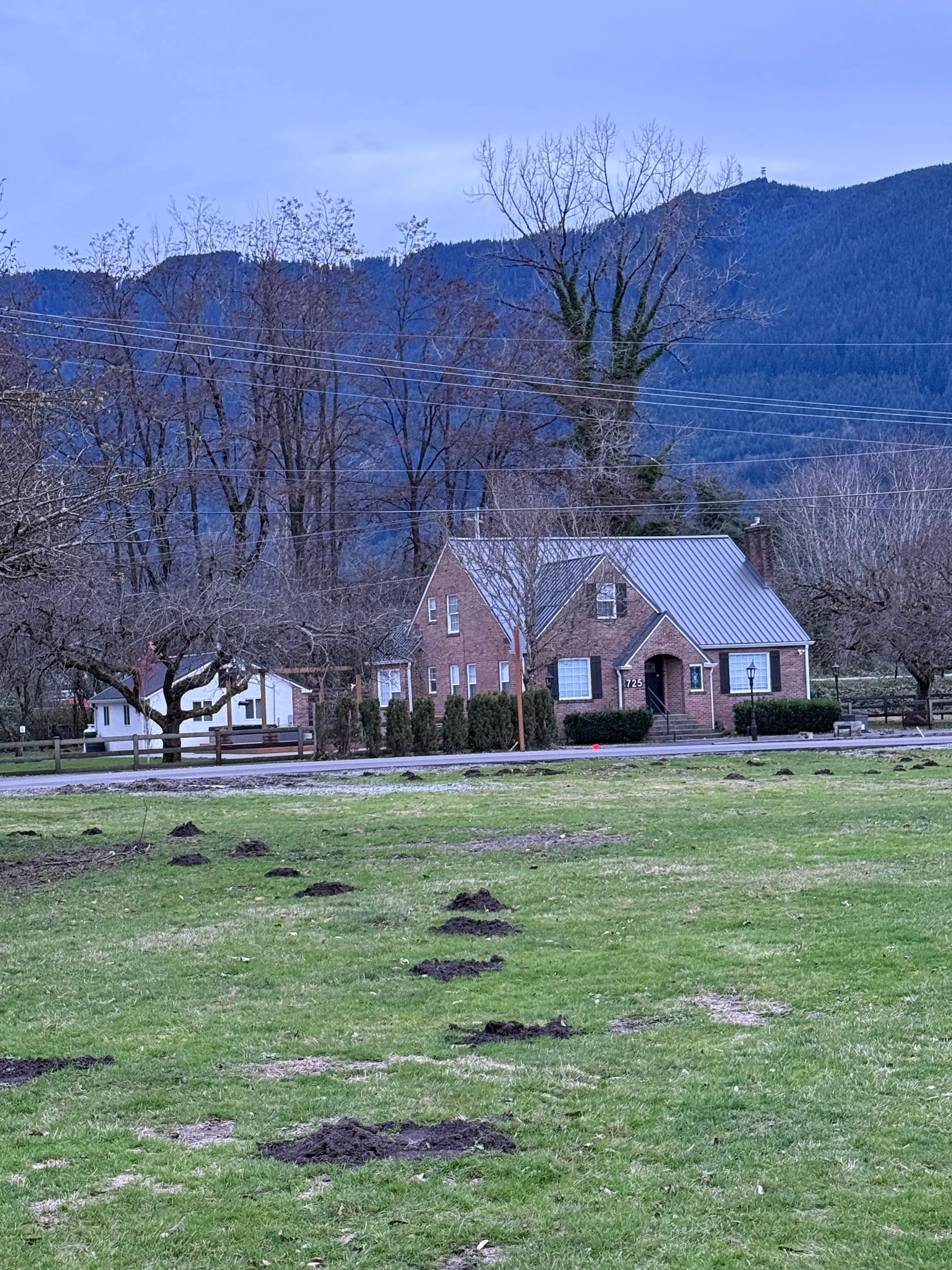 Home from the park across the street
