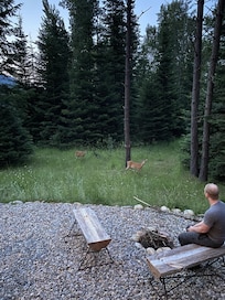 Deer visitors on our first night
