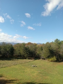 View from the deck