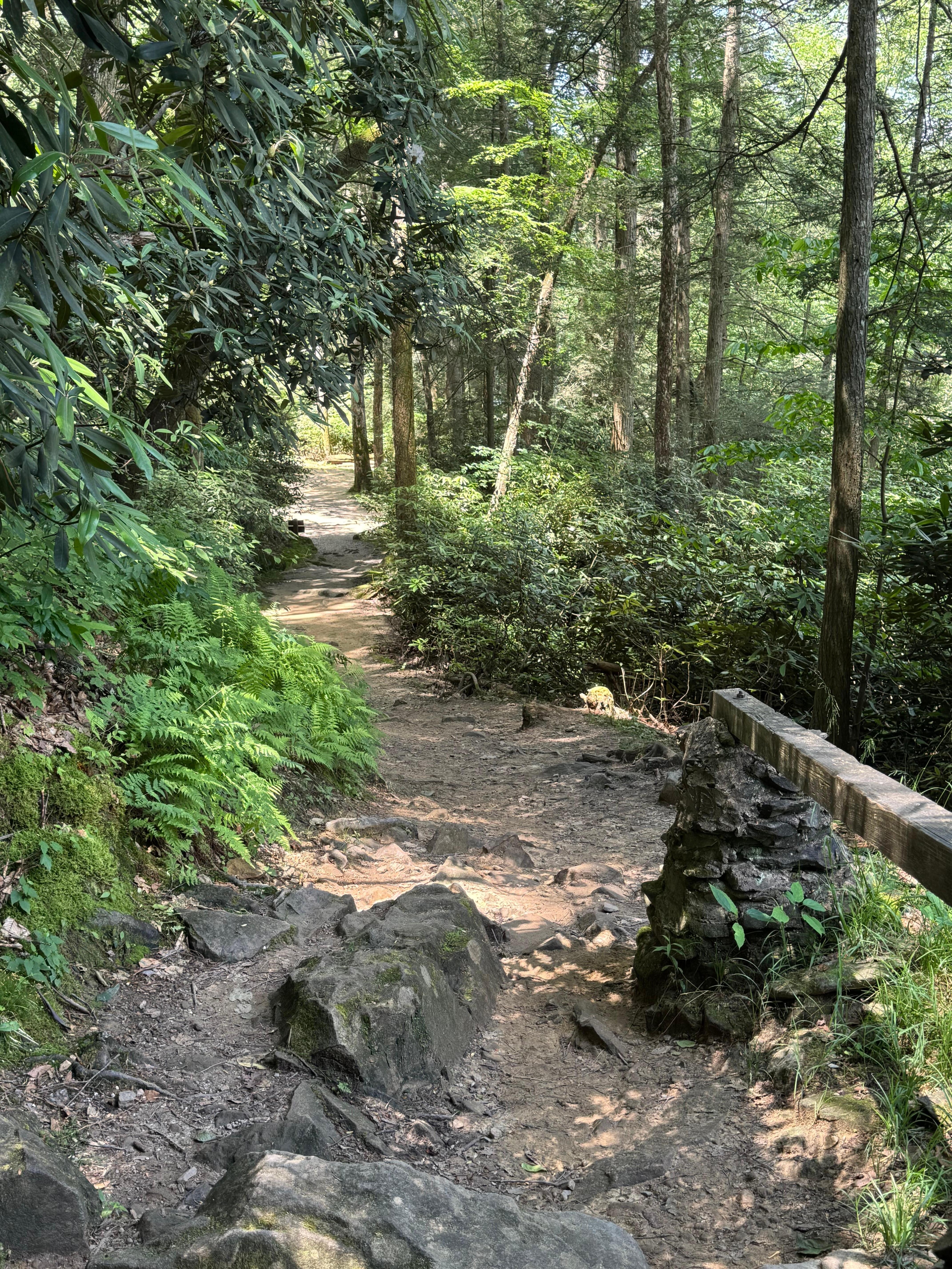 Audra State Park