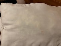 Dirty/stained pillow. I accidentally deleted the photo of the sofa bed mattress