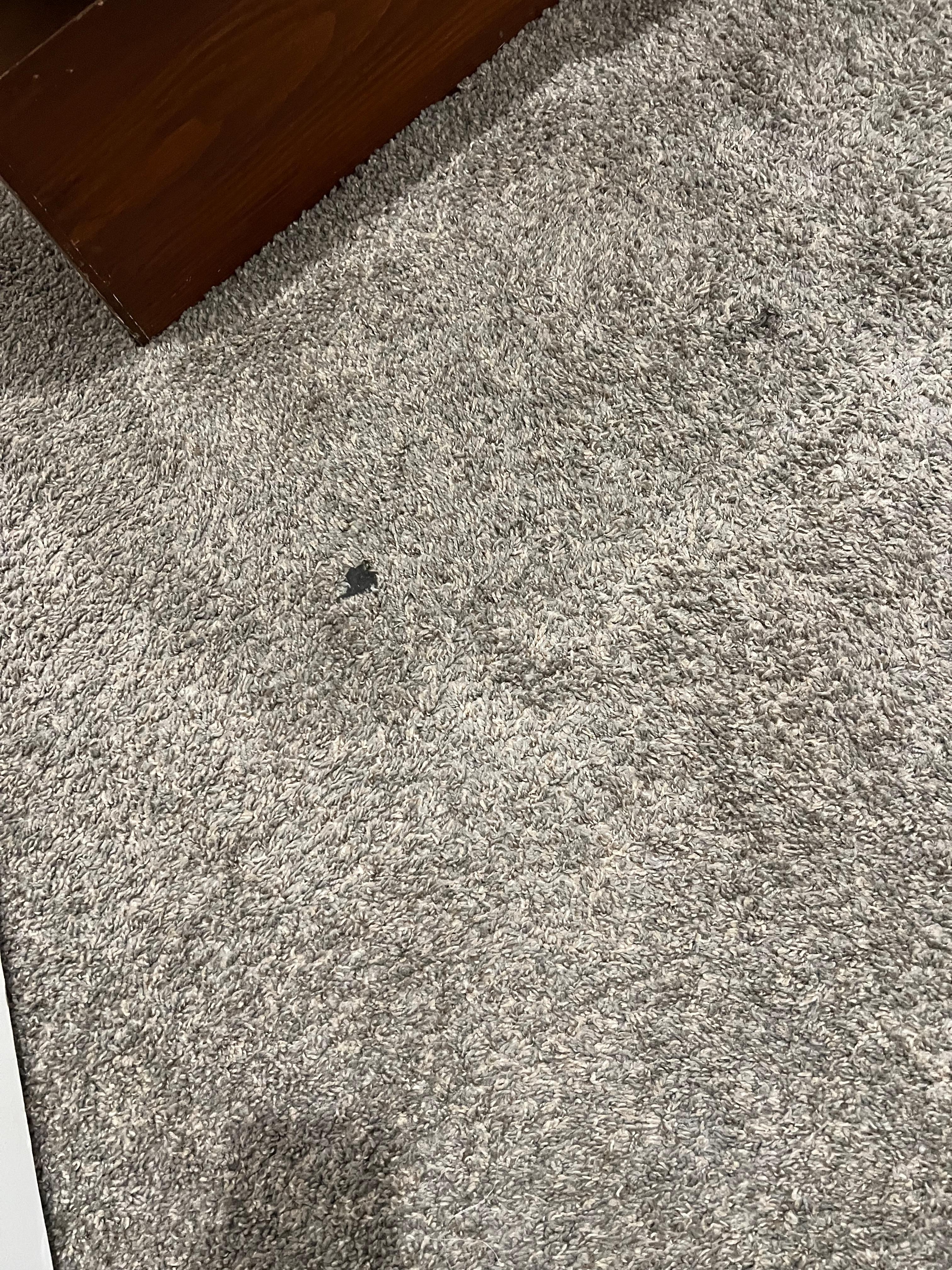 Sticky stain on bedroom rug