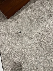 Sticky stain on bedroom rug