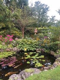 Gorgeous grounds