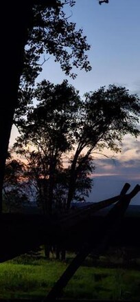 The view off the deck