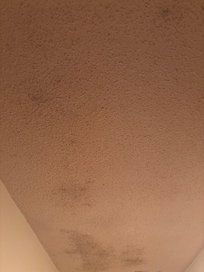 mold yes
