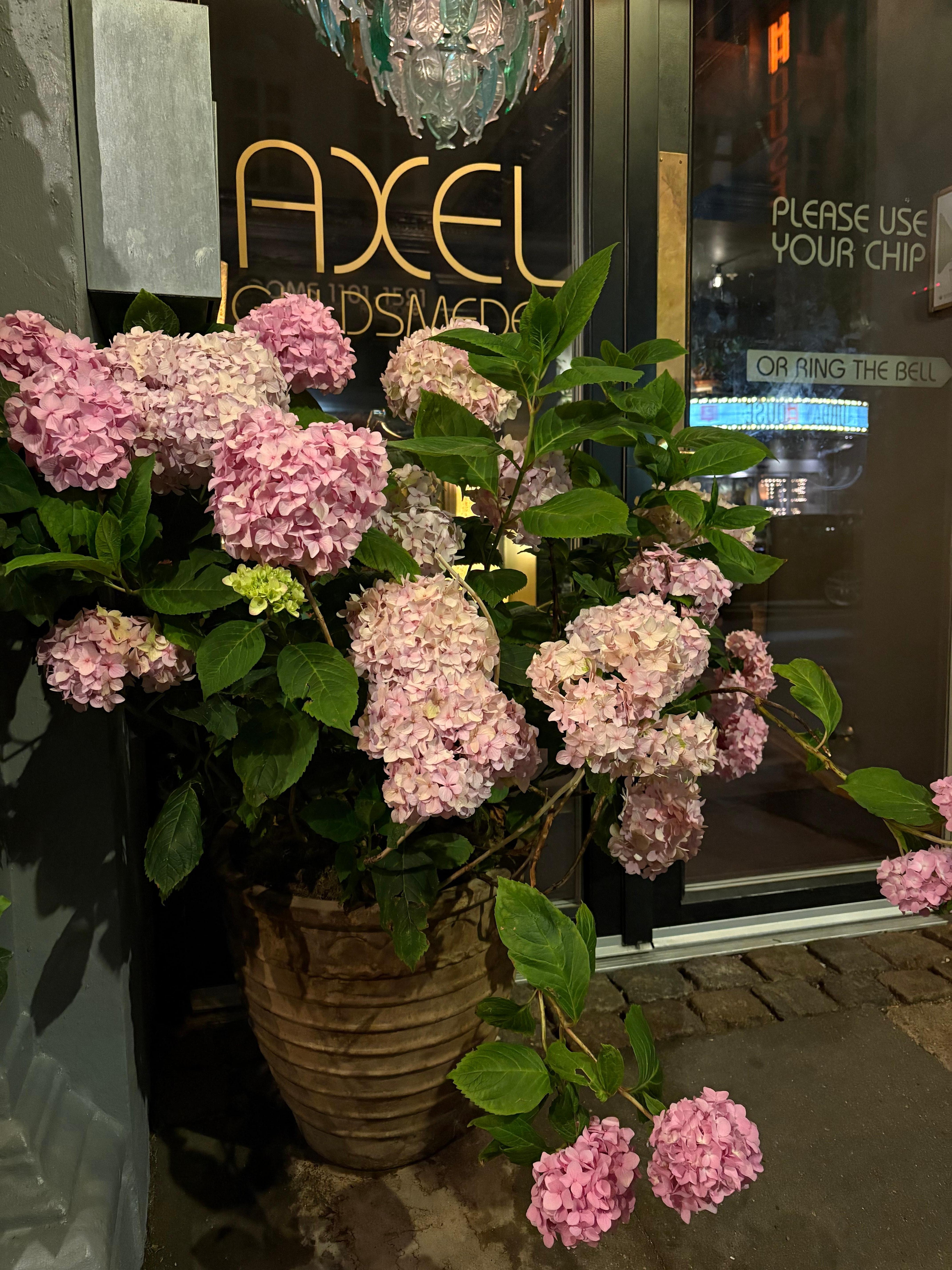Hotellets entré 