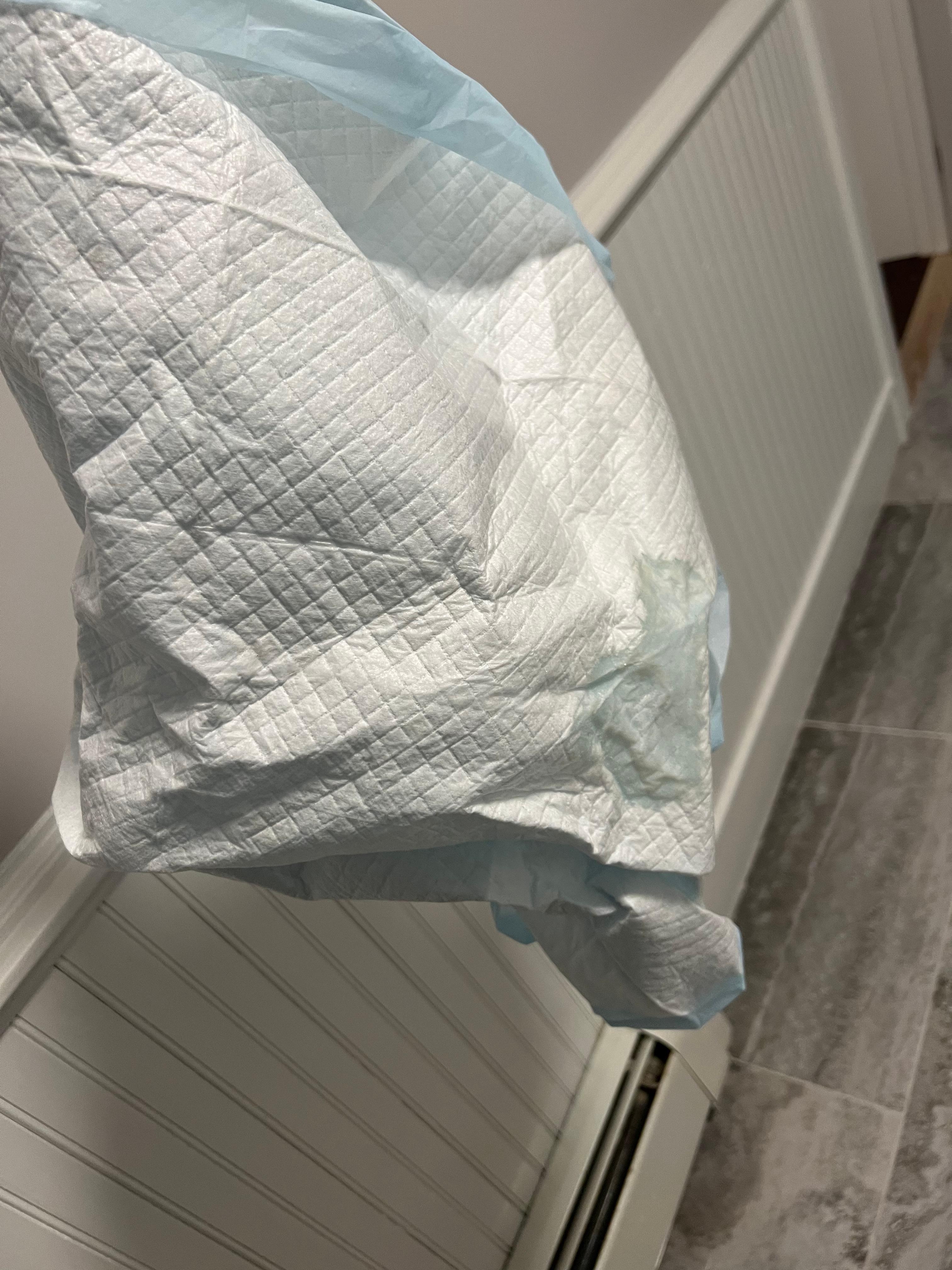 Pet pad with urine on it