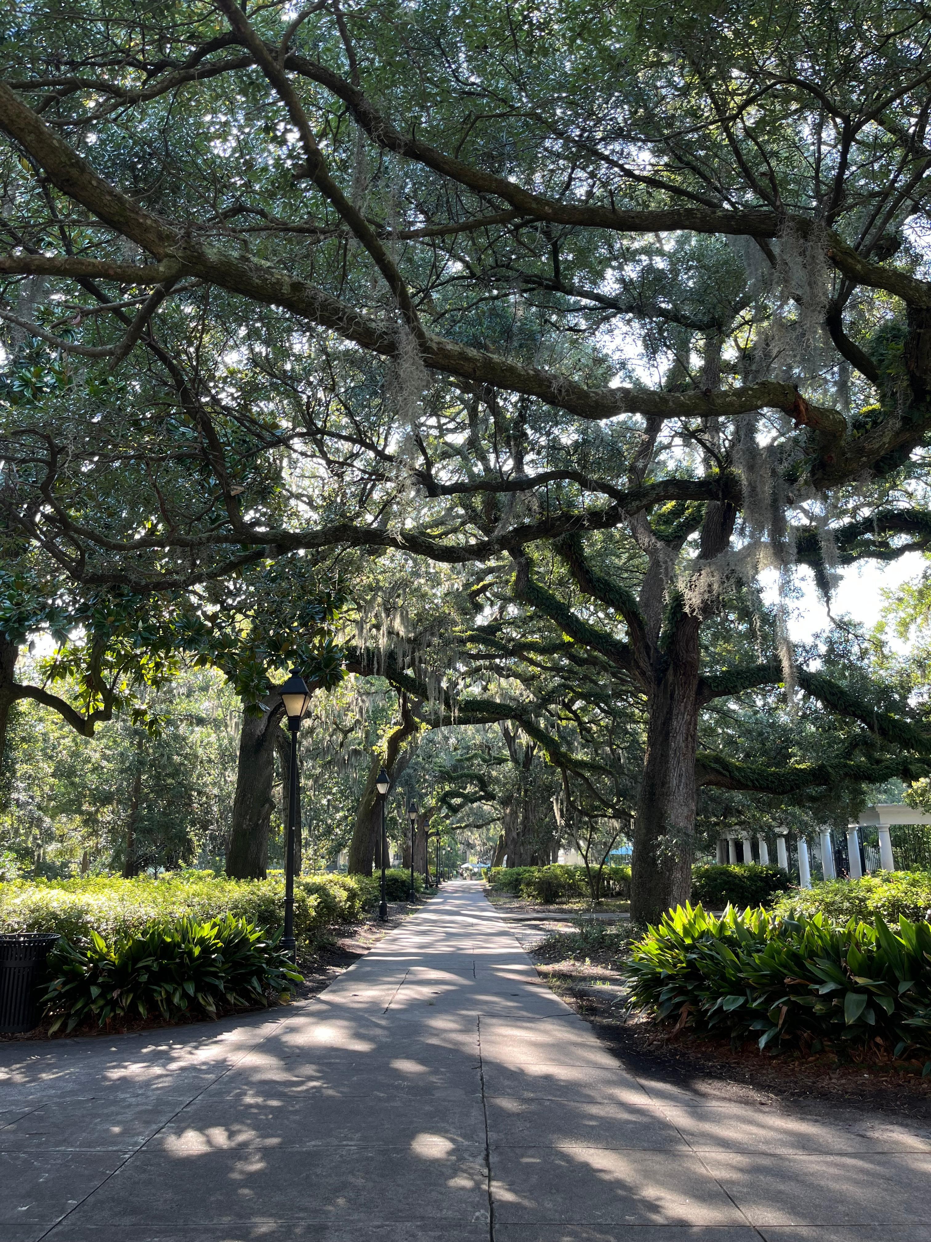 The park right across the street