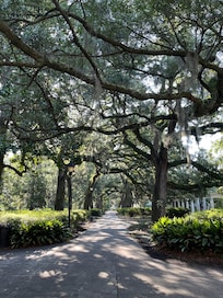 The park right across the street