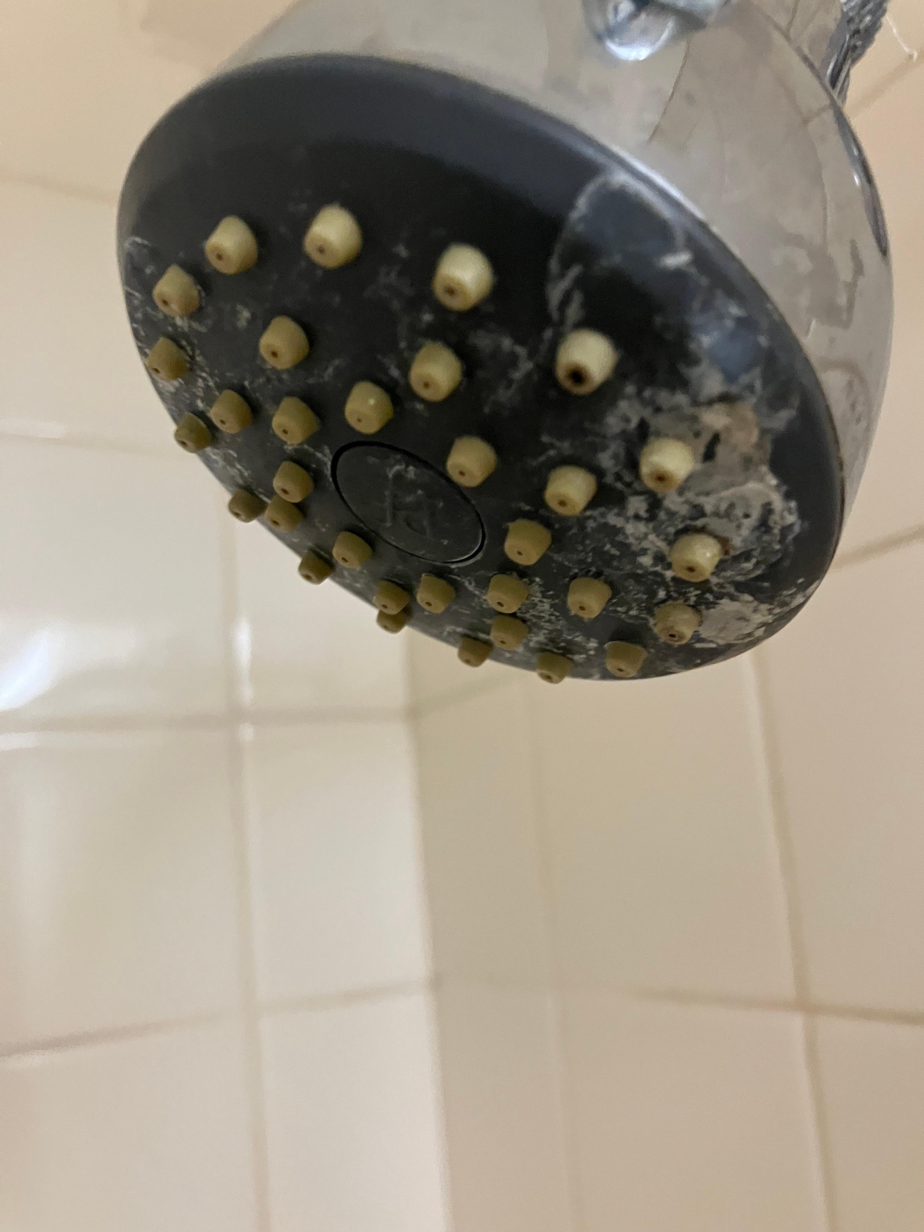 Limescale covered shower head