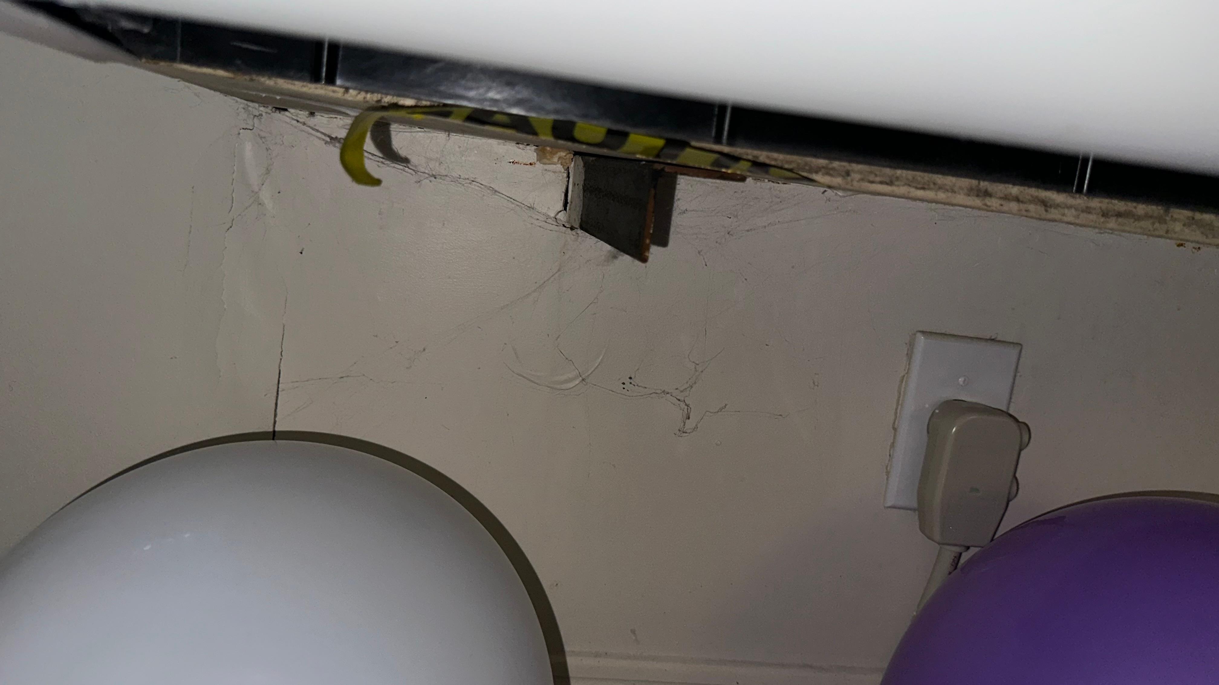 Spider webs everywhere