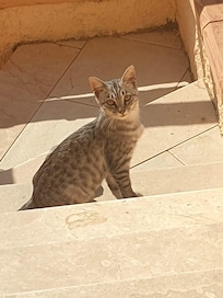 Direkt an unserer Wohnung