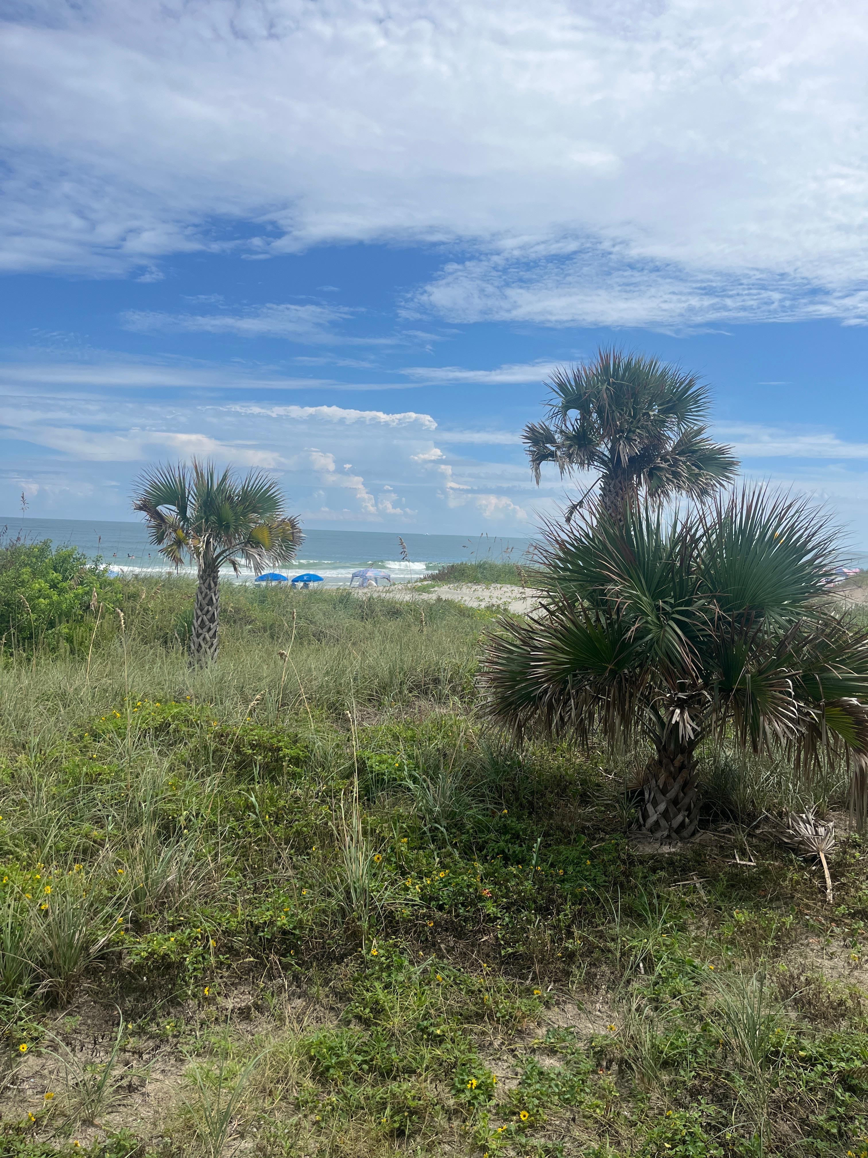 View from our dune leval balcony.