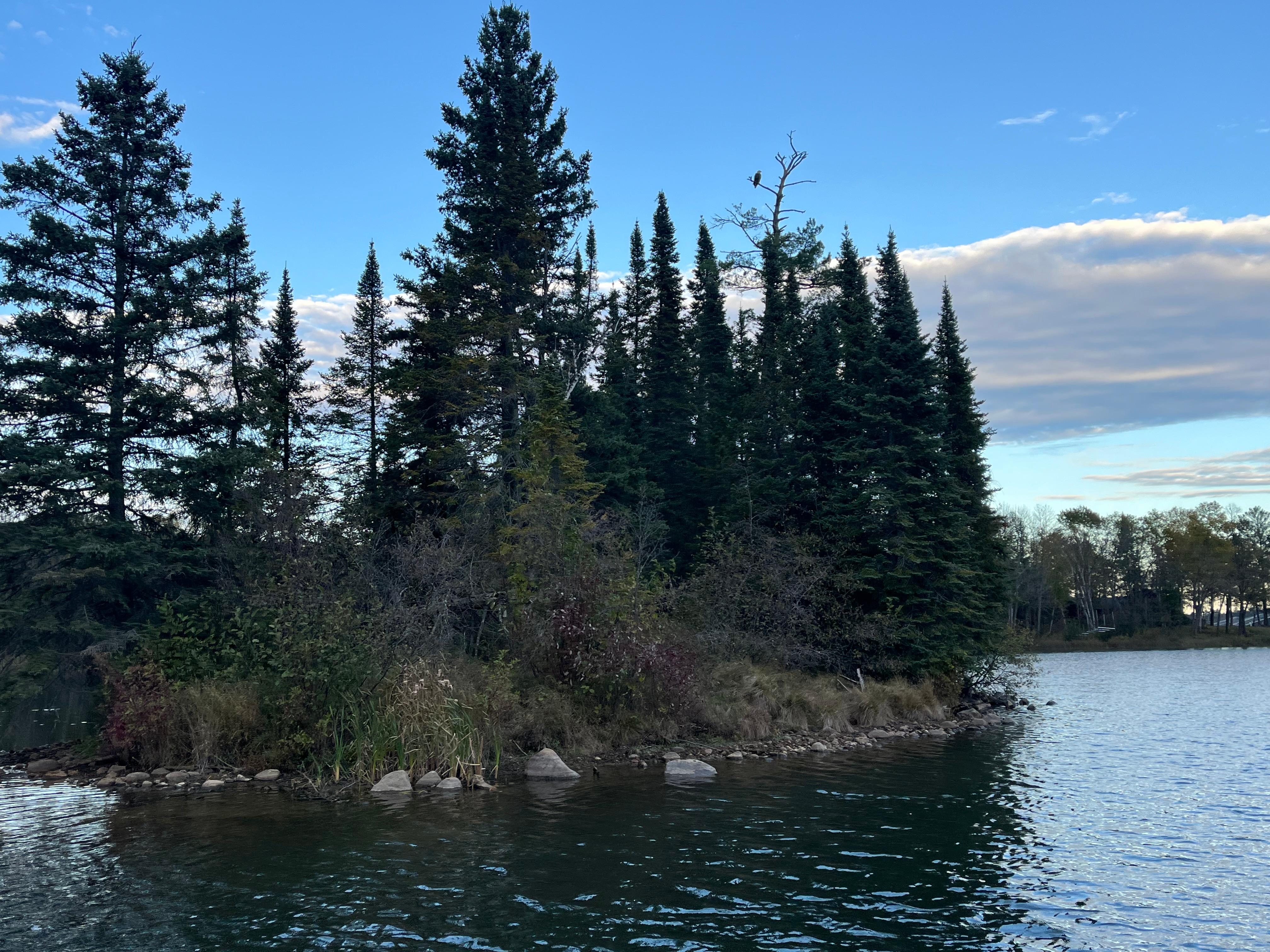 Awesome lake with lots of eagles!