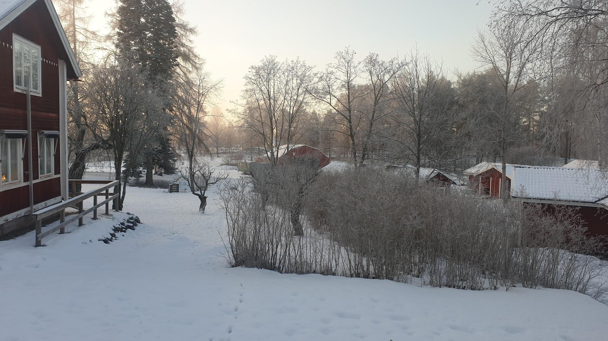 Utsikten genom stugfönstret.