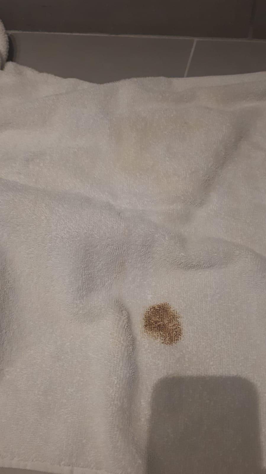 A supposedly clean towel that we found in our room!