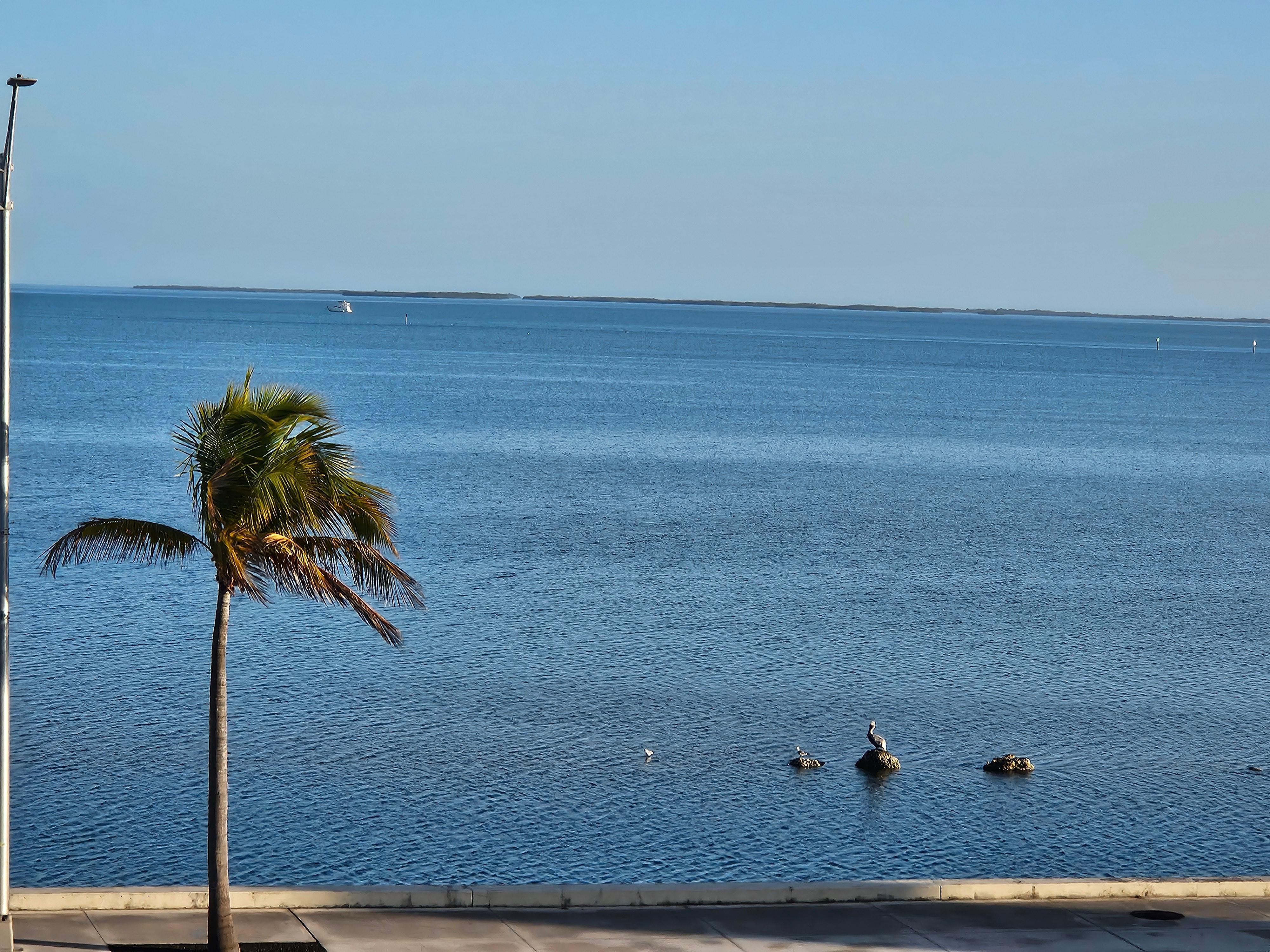 View from the balcony. 