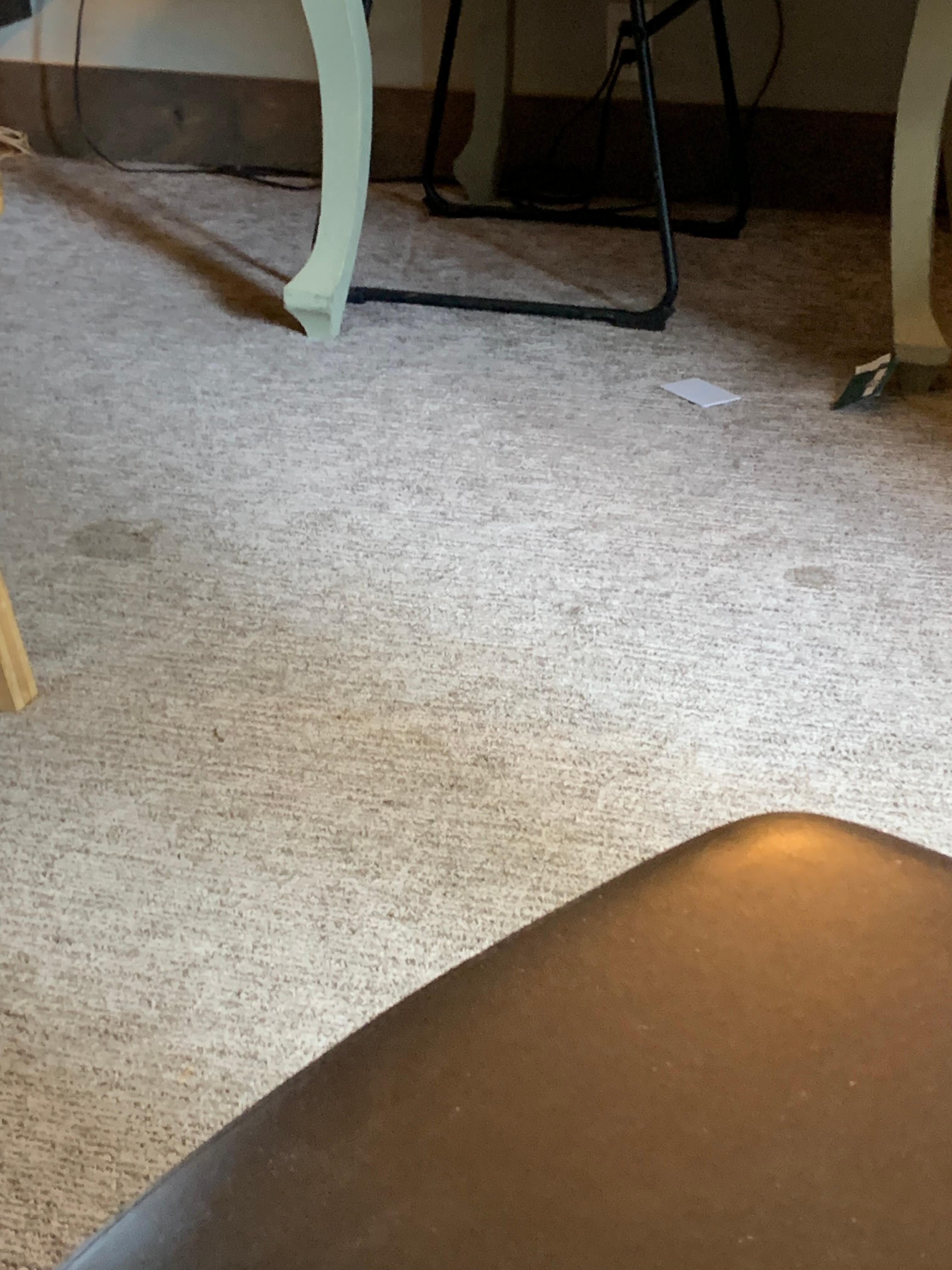 Carpet stained & dirty 