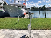 George the Egret.