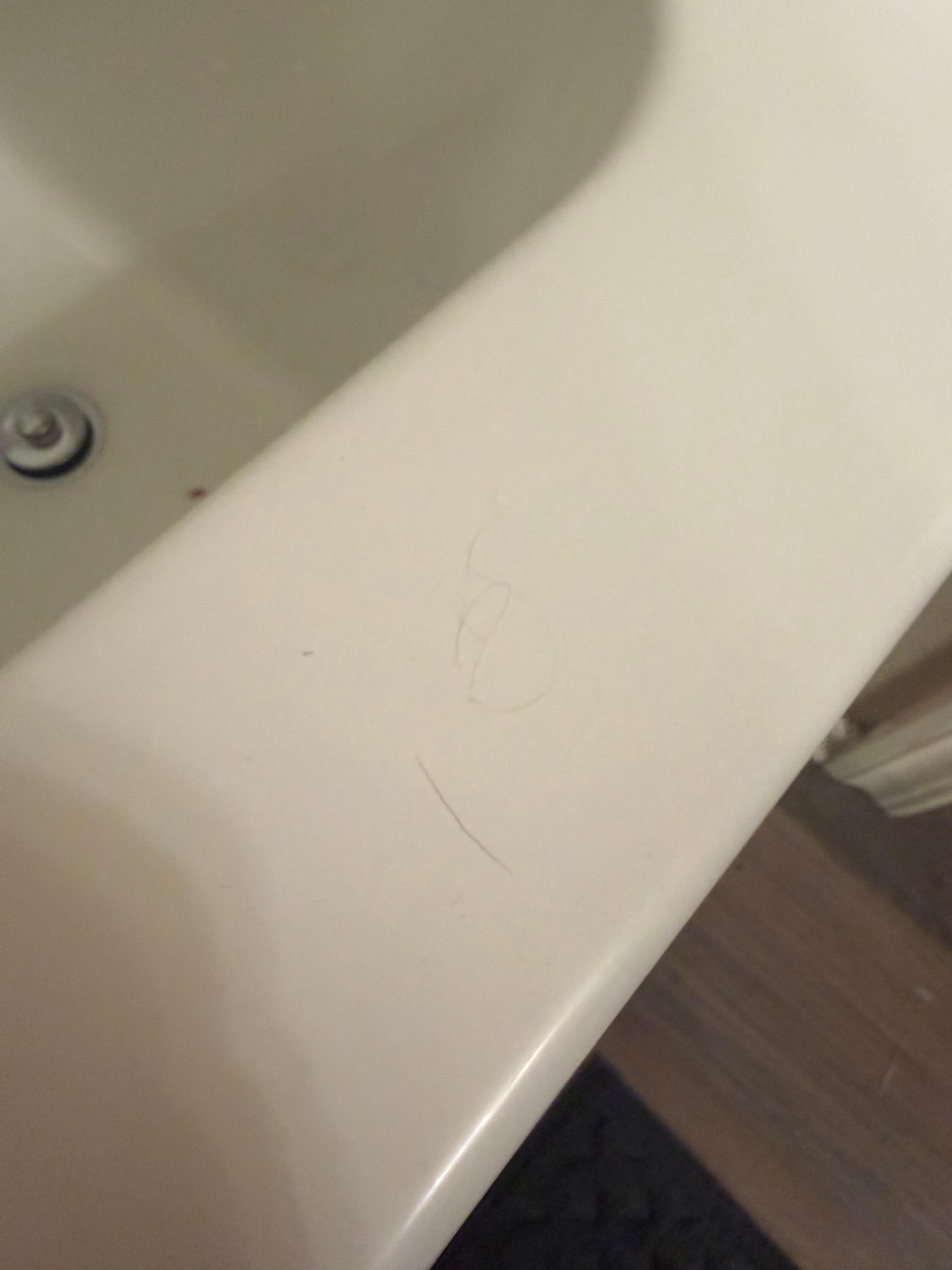 A lil bit of previous guests hair