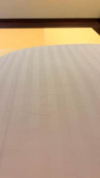 髪の毛が落ちてるベッドは無理!1人でツインを予約していてよかった