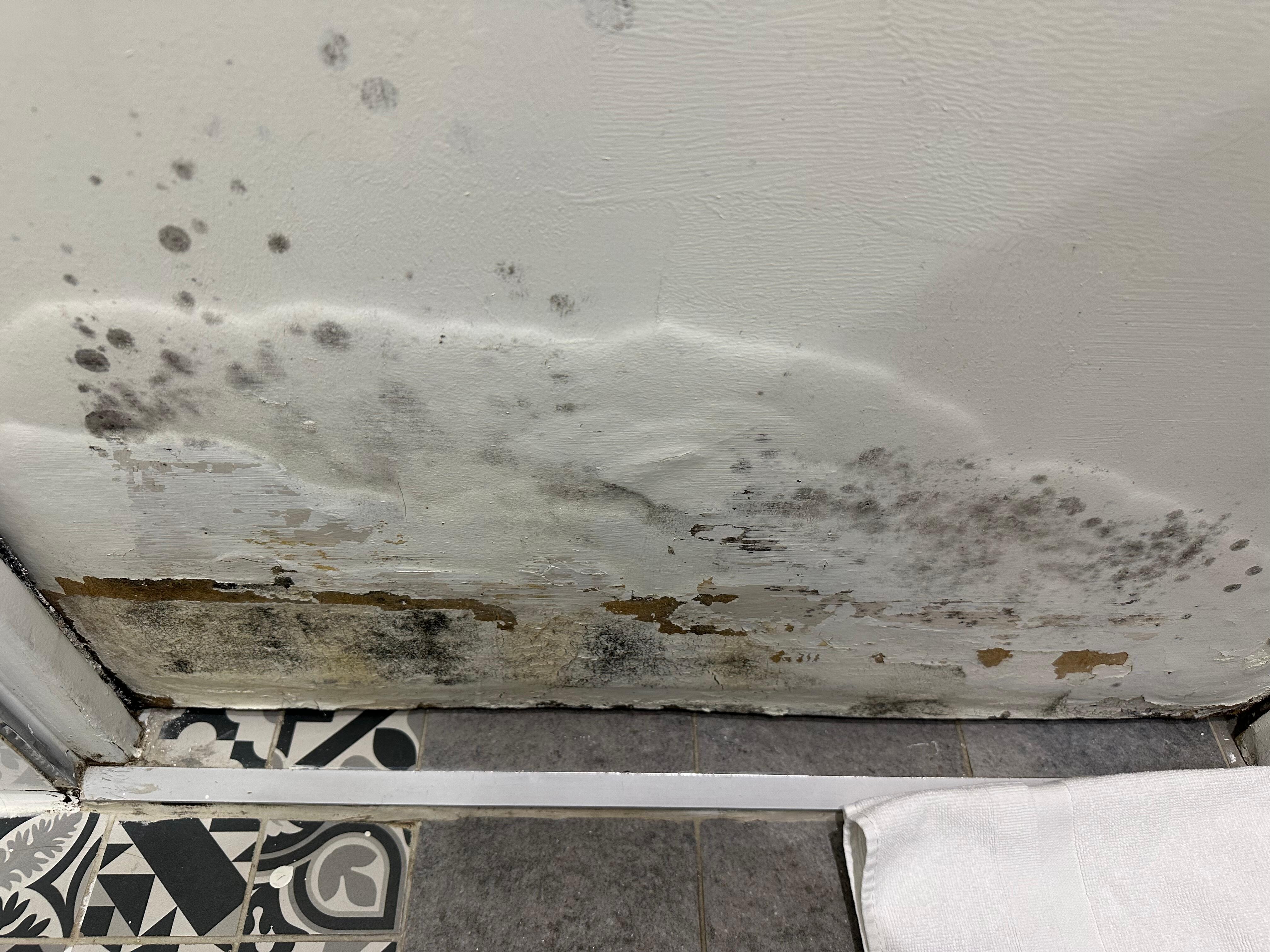 Porte salle de bain moisie
