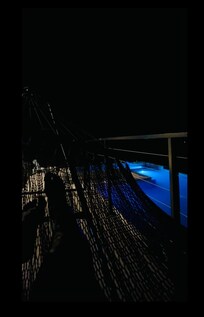 I wish you could hear this pictuređ
⌠the crickets chirping.. so relaxing.