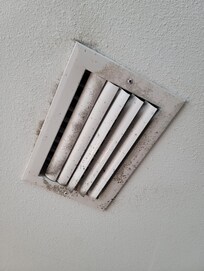 Mildew on vents