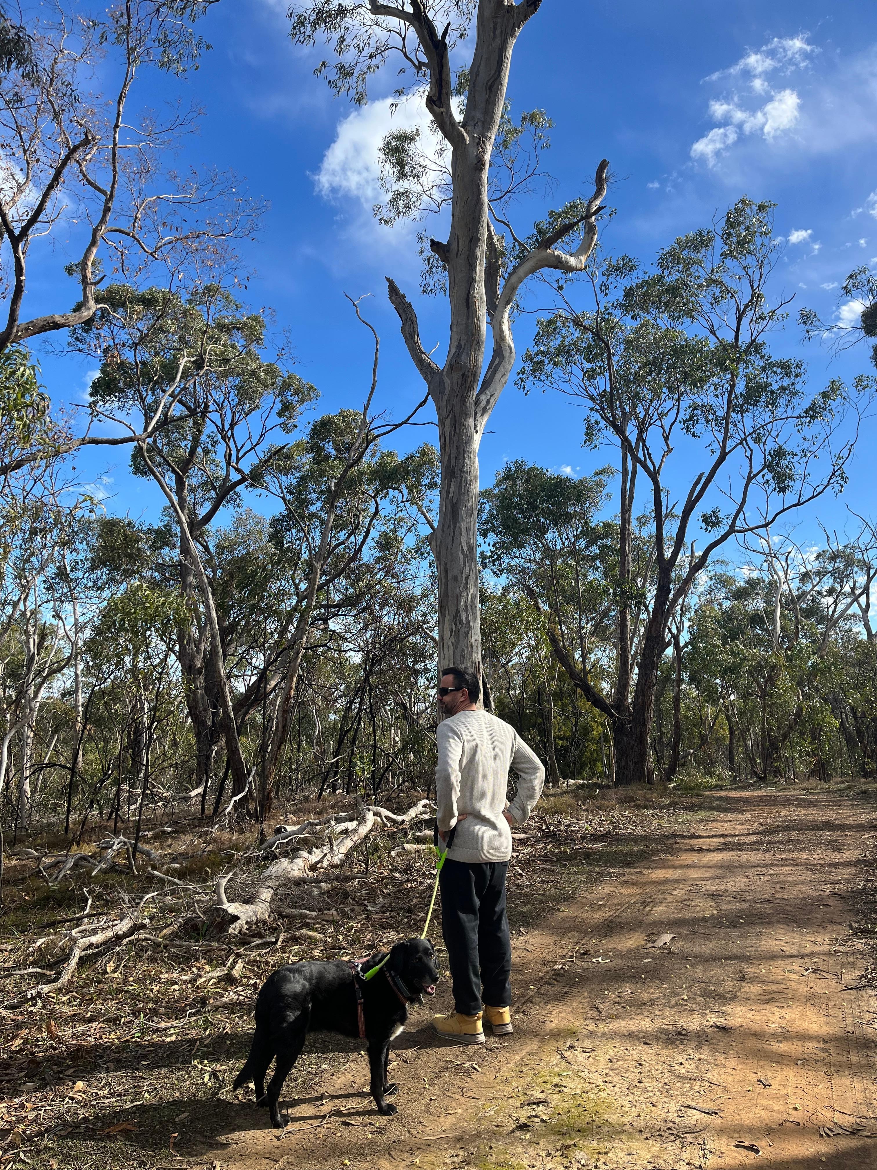 Discovering the national park