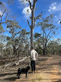 Discovering the national park