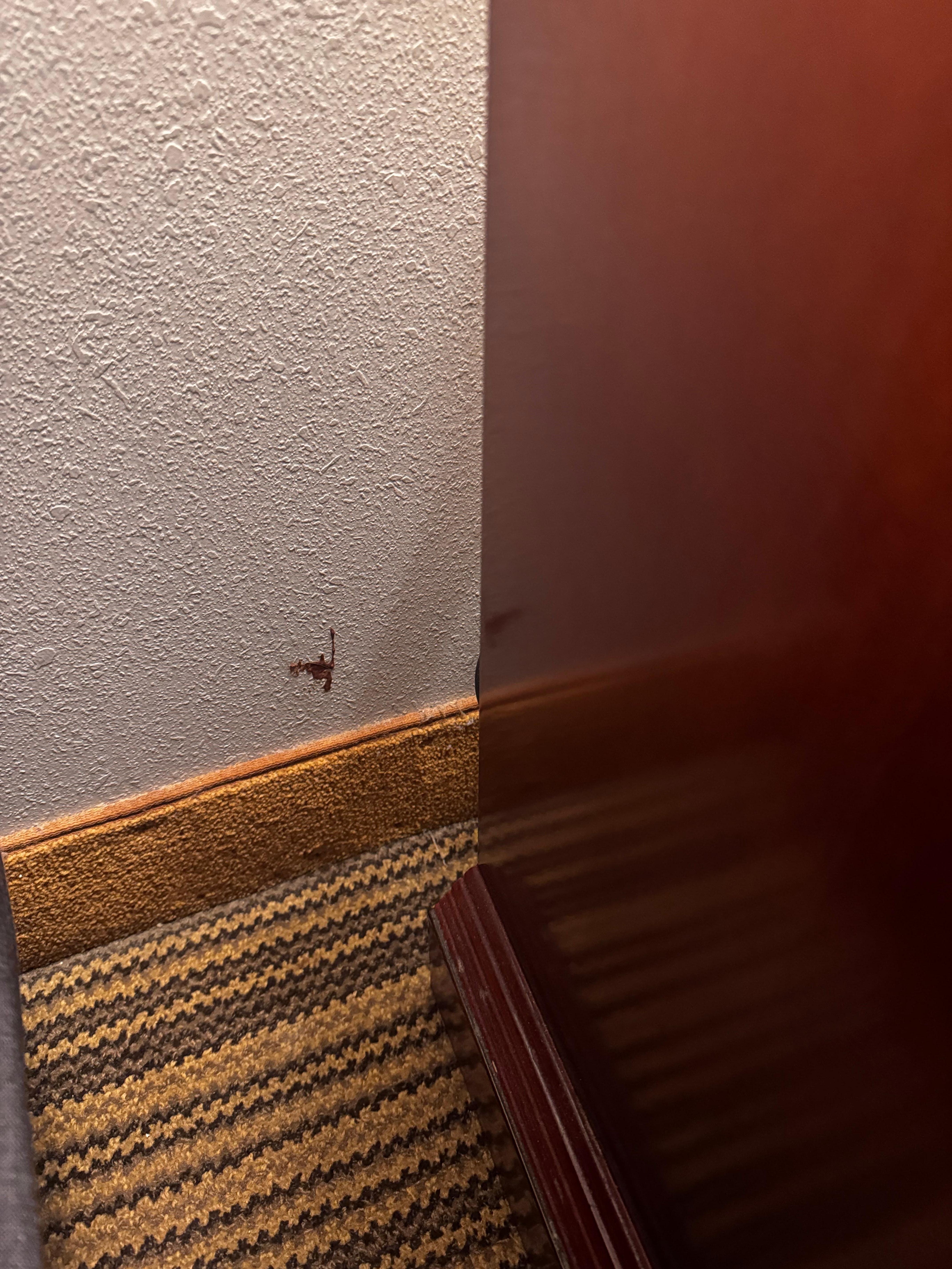 Blood on the walls and ceiling 