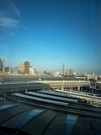 View fro family room