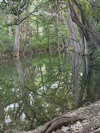 The creek behind the cabin.
