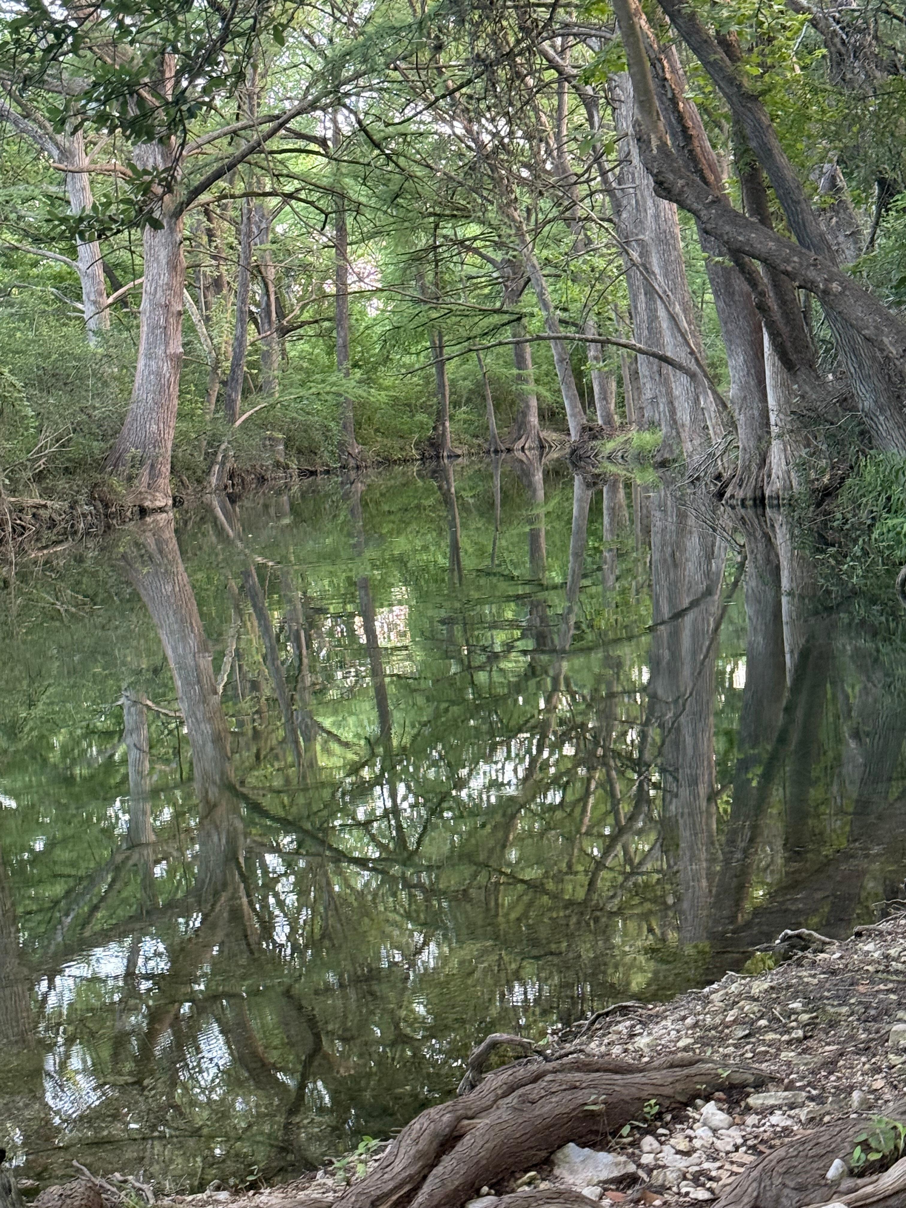 The creek behind the cabin. 
