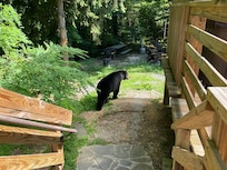 Photo taken from main floor stairs by the hot tub