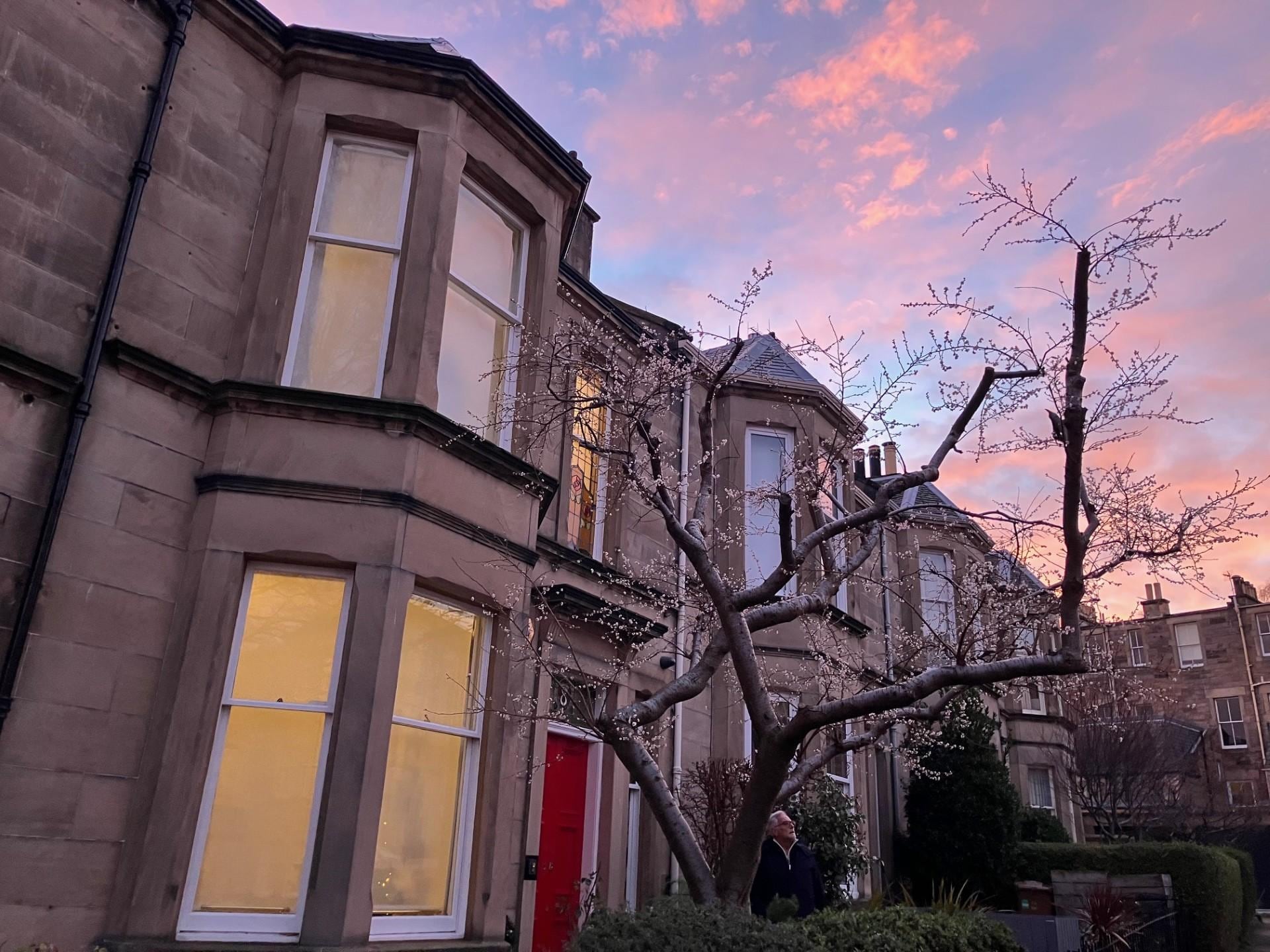 Magnifique sapin de Noel, une tres belle attention